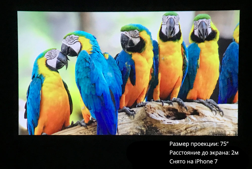 Everycom S10 проекция